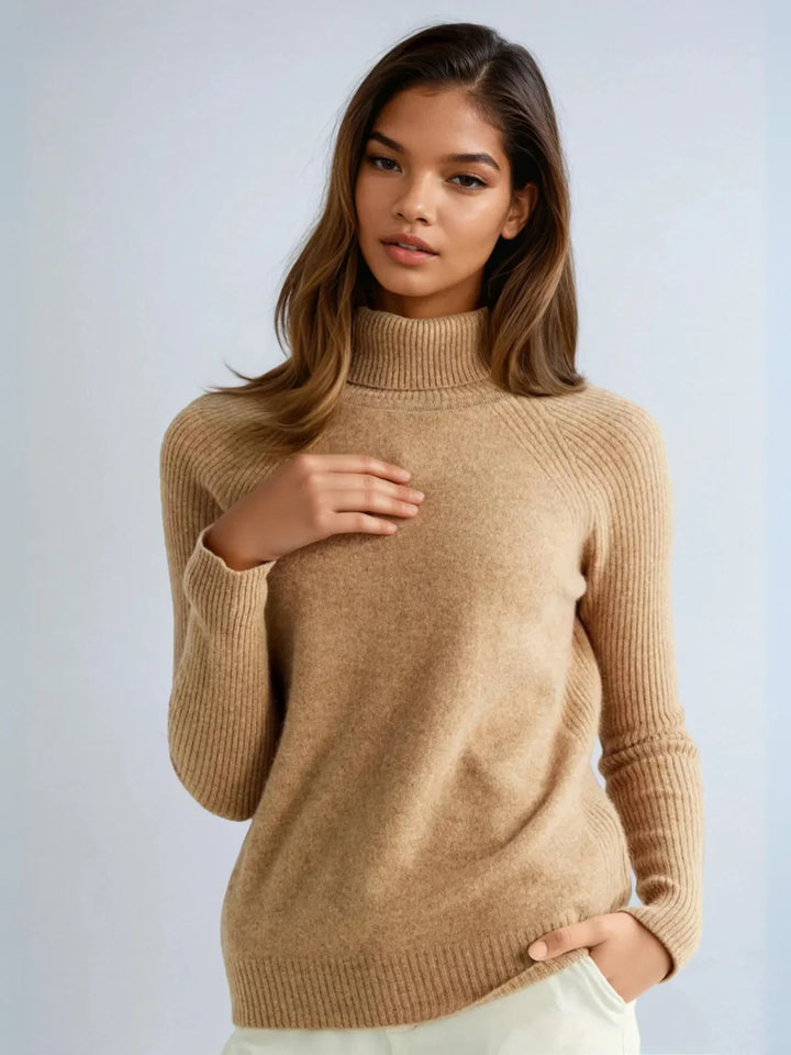 Casual Style Loose Turtleneck Sweater