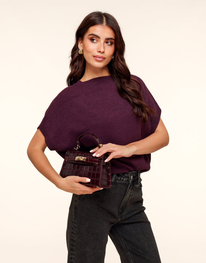 Bordeaux Snakeskin Leather Gold Detail - Bag