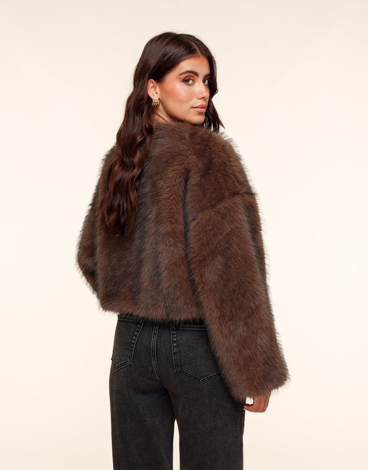 Brown Short Fluffy - Coat